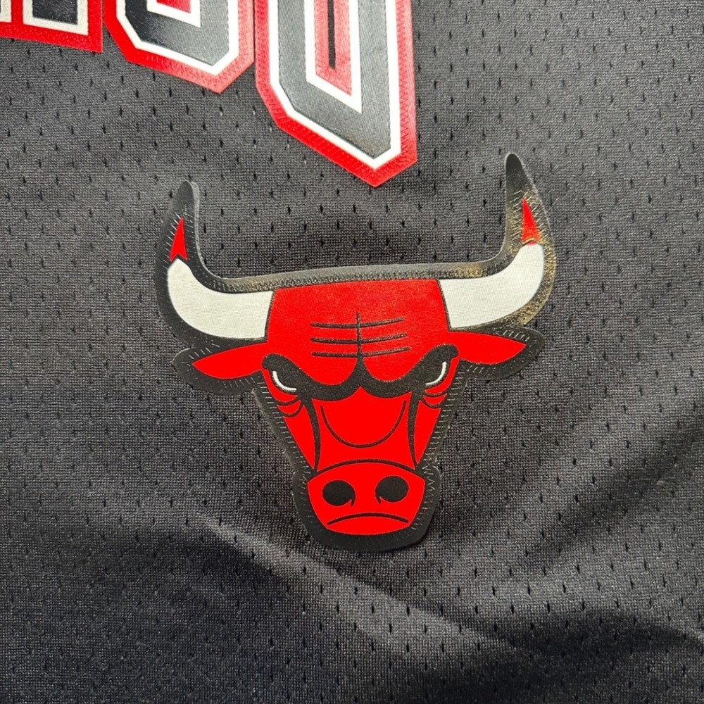 Pro Standard Chicago Bulls NBA Jersey 3XL Luxury Athletic Collection Champions - Picture 3 of 12